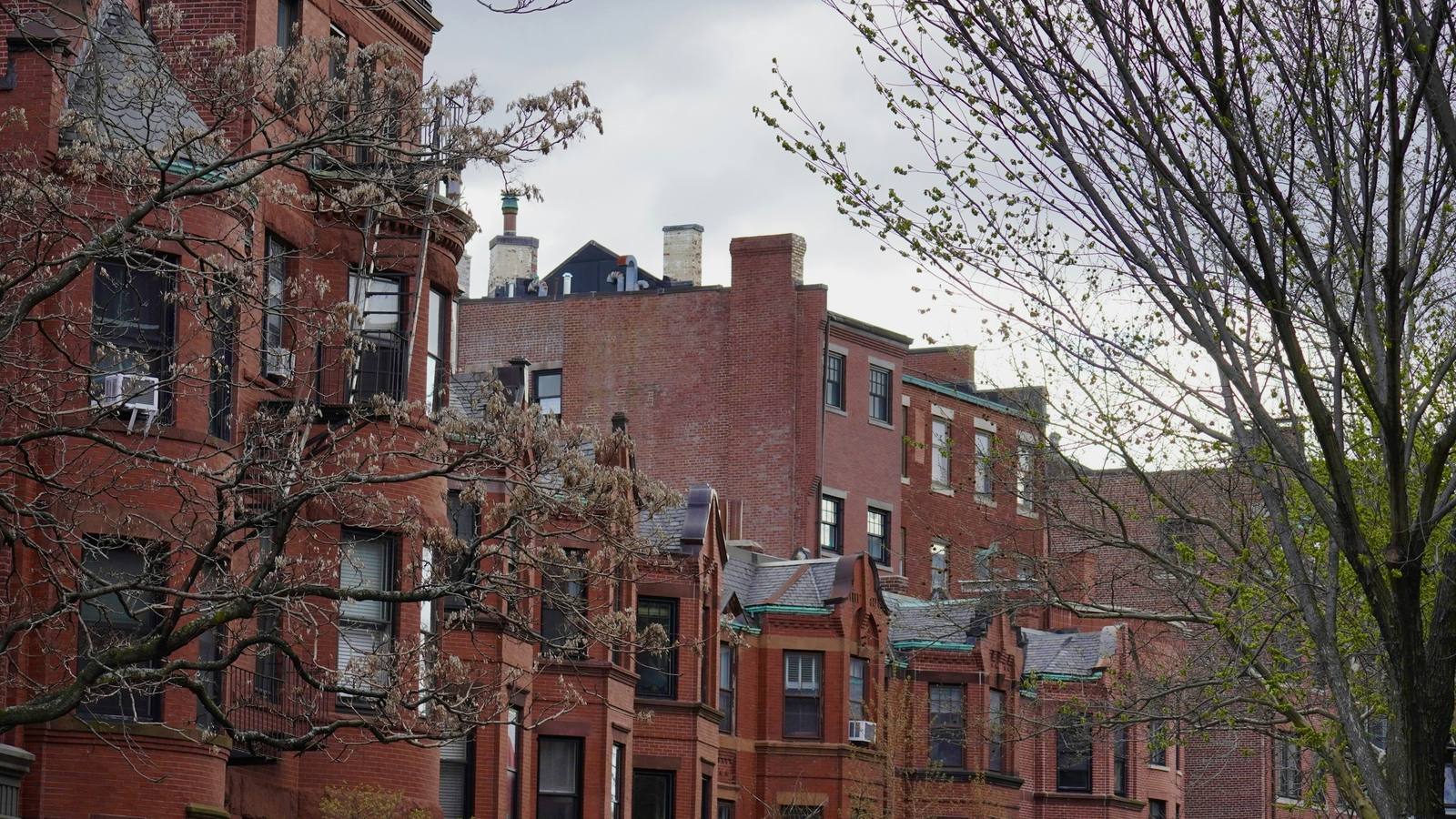 Historic red brick row houses along a tree-lined city street